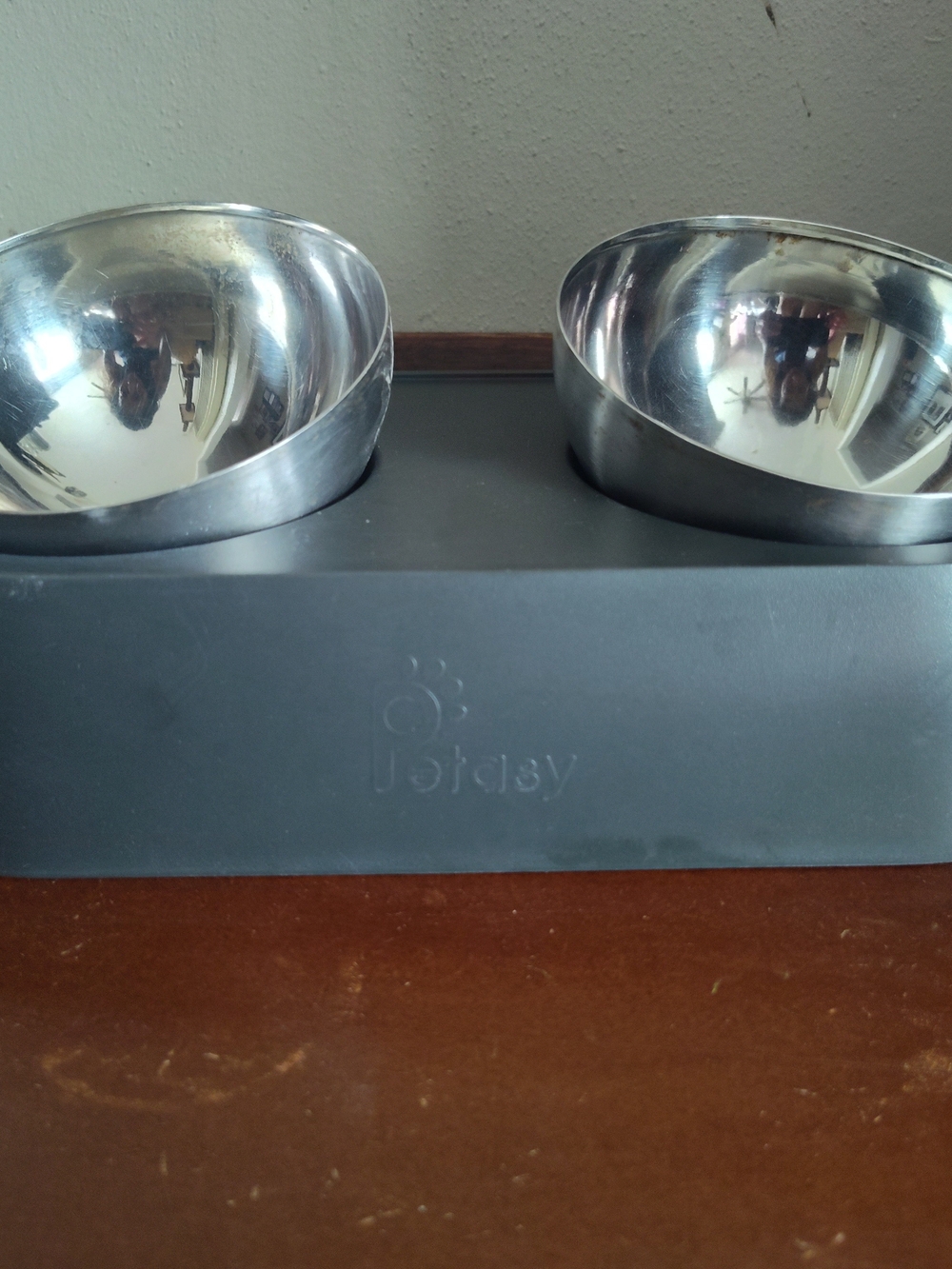 Pet Day Dual Stainless Steel Bowls with Gray Silicone Base